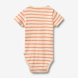 Wheat Main Body S/S Edvald Body 9648 orange stripe