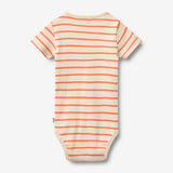 Wheat Main Body S/S Edvald Body 9648 orange stripe
