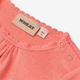 Wheat Main Rib Body L/S Lotta Body 2216 light coral