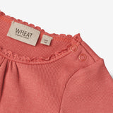 Wheat Main Rib Body Lotta | Baby Underwear/Bodies 2020 faded rose