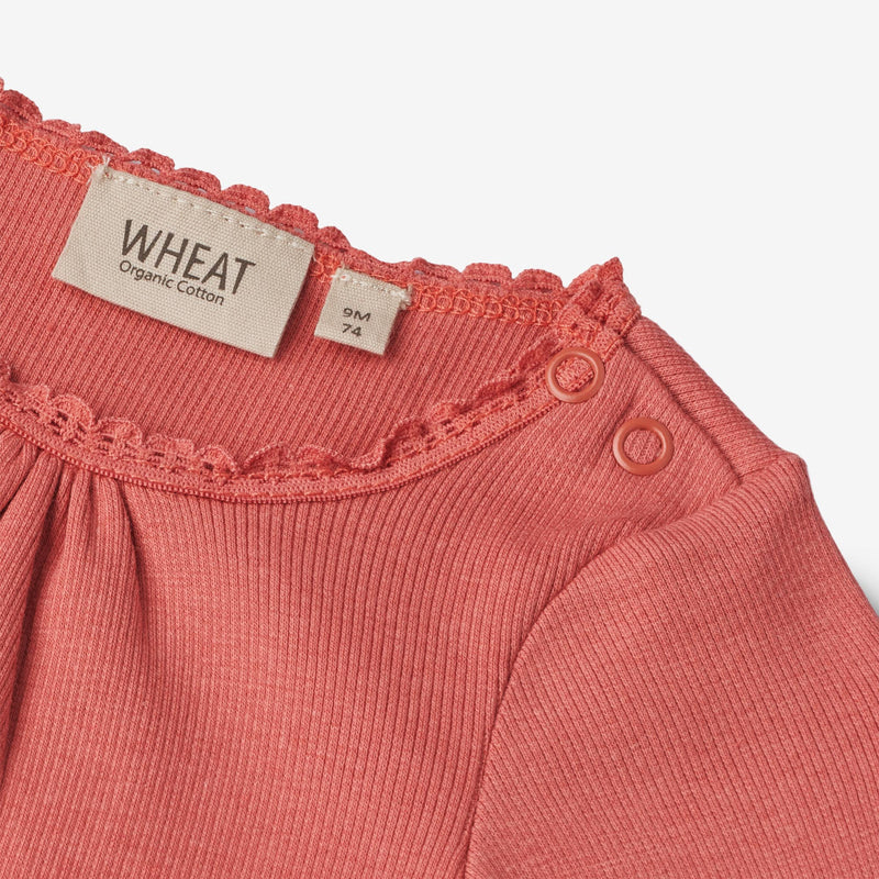 Wheat Main Rib Body Lotta | Baby Underwear/Bodies 2020 faded rose