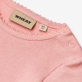 Wheat Main Rib Body S/S Lace Elisa Underwear/Bodies 2026 rose