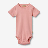 Wheat Main Rib Body S/S Lace Elisa Underwear/Bodies 2026 rose