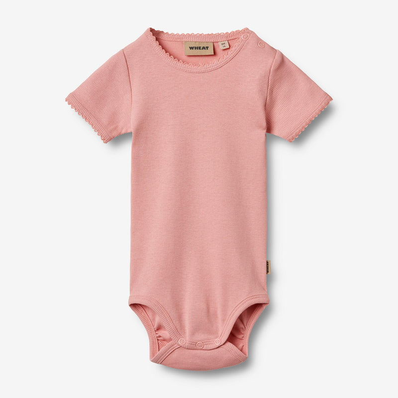 Wheat Main Rib Body S/S Lace Elisa Underwear/Bodies 2026 rose