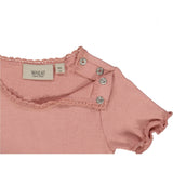 Wheat Main Rib T-Shirt Lace SS Jersey Tops and T-Shirts 2024 rosie
