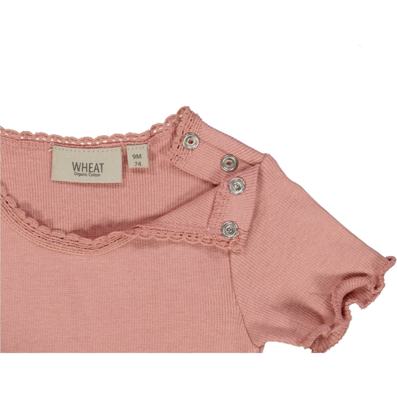 Wheat Main Rib T-Shirt Lace SS Jersey Tops and T-Shirts 2024 rosie