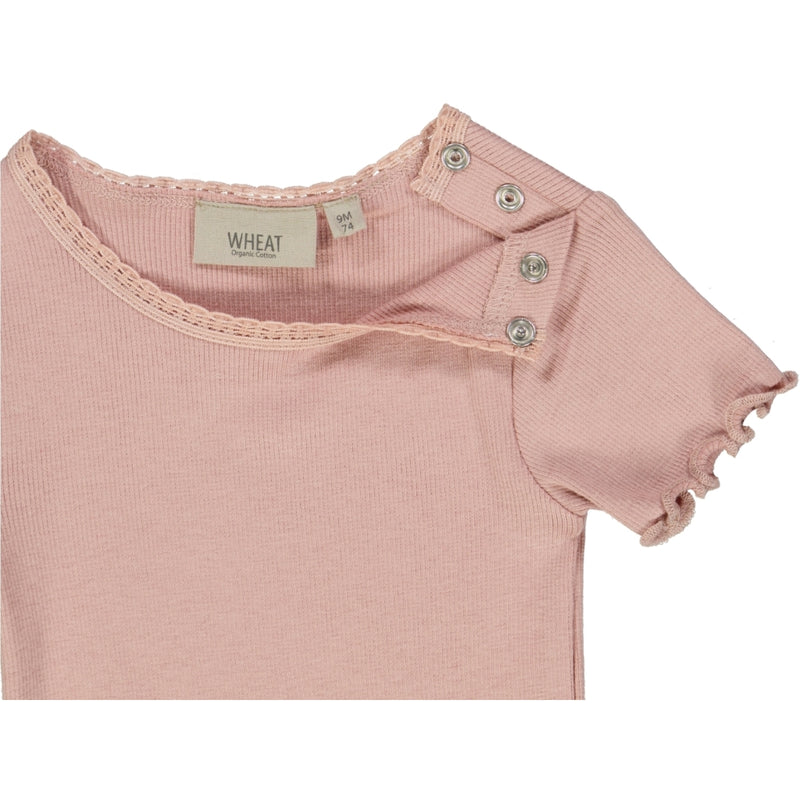 Wheat Main Rib T-Shirt Lace SS Jersey Tops and T-Shirts 2270 misty rose