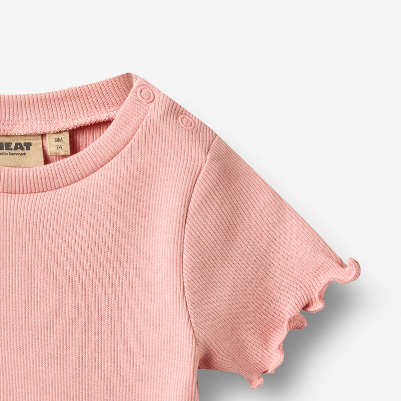 Wheat Main Rib T-shirt S/S Alicia T-Shirt 2026 rose