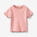 Wheat Main Rib T-shirt S/S Alicia T-Shirt 2026 rose