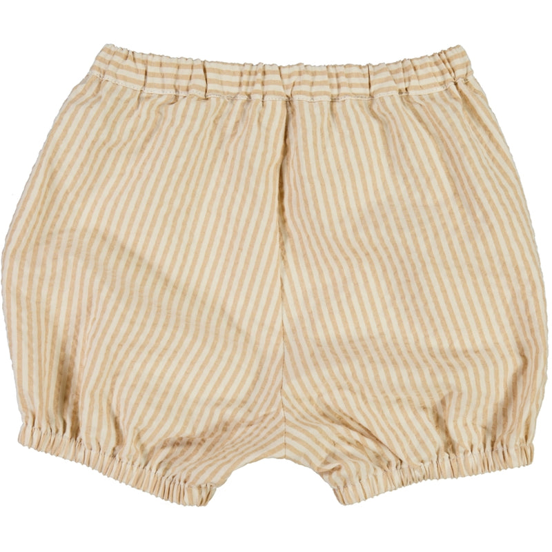 Wheat Shorts Olly Shorts 5088 taffy stripe