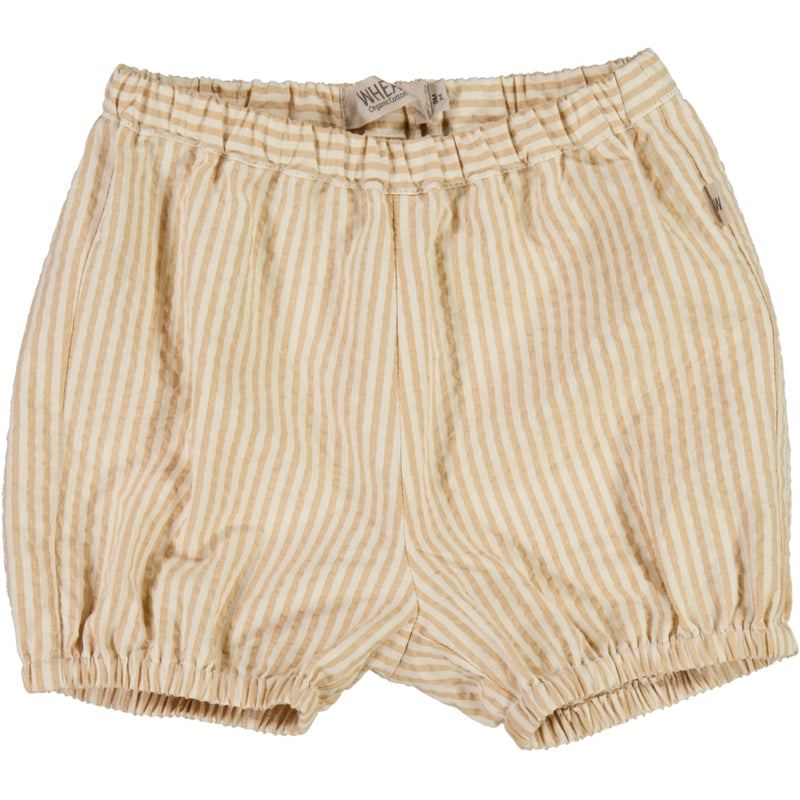 Wheat Shorts Olly Shorts 5088 taffy stripe