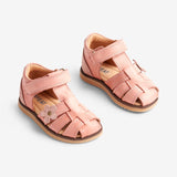 Wheat Footwear Sky Sandal Flower | Baby Prewalker Sandals 2026 rose