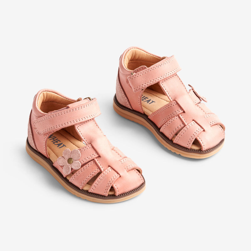 Wheat Footwear Sky Sandal Flower | Baby Prewalker Sandals 2026 rose