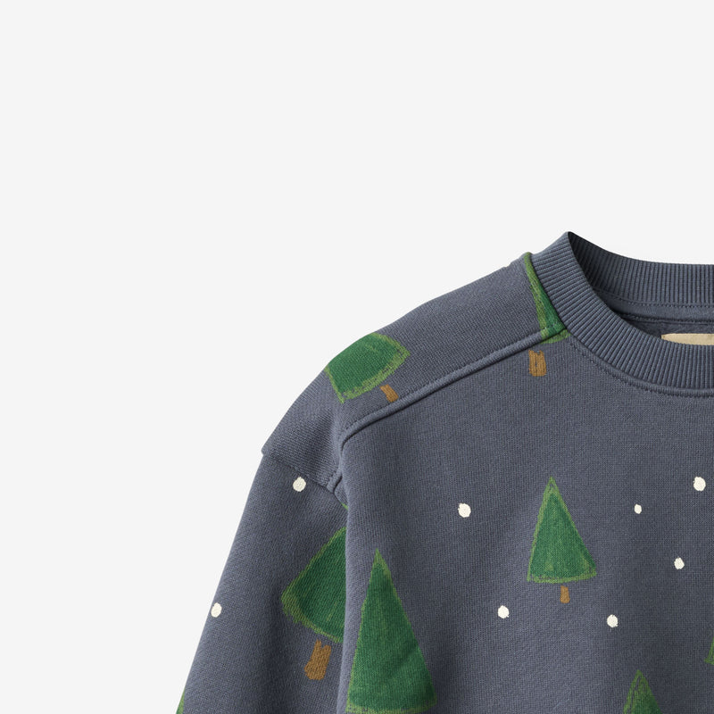 Wheat Main Sweatshirt L/S Sandro Sweatshirt 9586 greyblue holiday