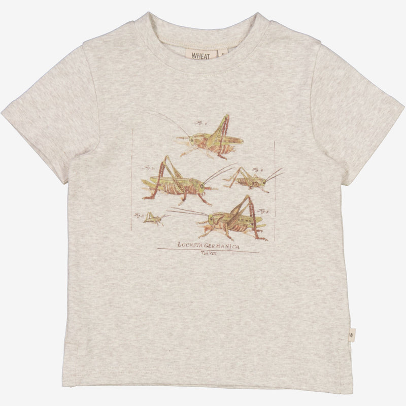 Wheat T-Shirt Grasshoppers Jersey Tops and T-Shirts 5060 fossil melange