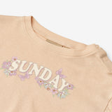 Wheat Main T-Shirt S/S Esther Jersey Tops and T-Shirts 9438 rose water