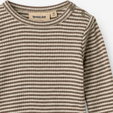 Wheat Main Wool Body Lucca Body 9578 wood stripe